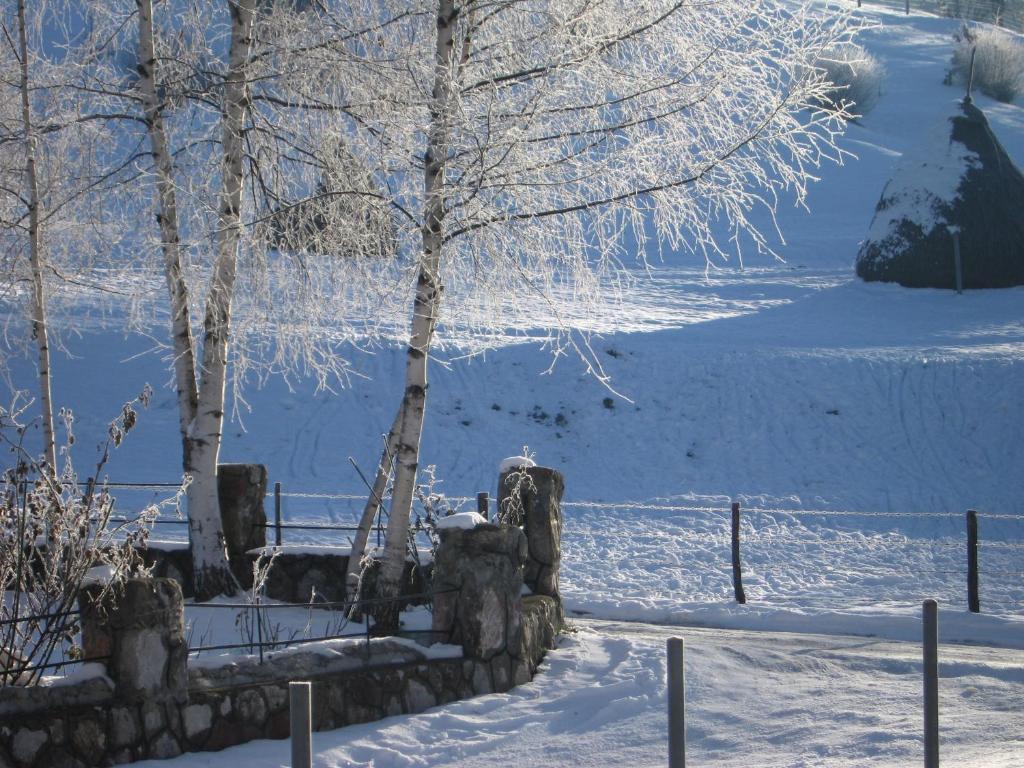Guest House Sergey Kolaşin Dış mekan fotoğraf